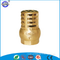 forged female threaded natural check valve for drain